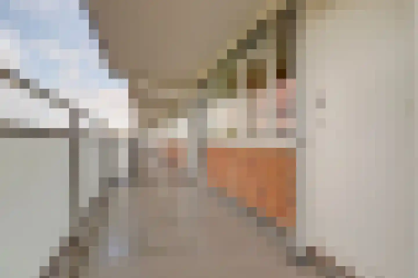 Arendshorst 84 Leiden thumbnail 14