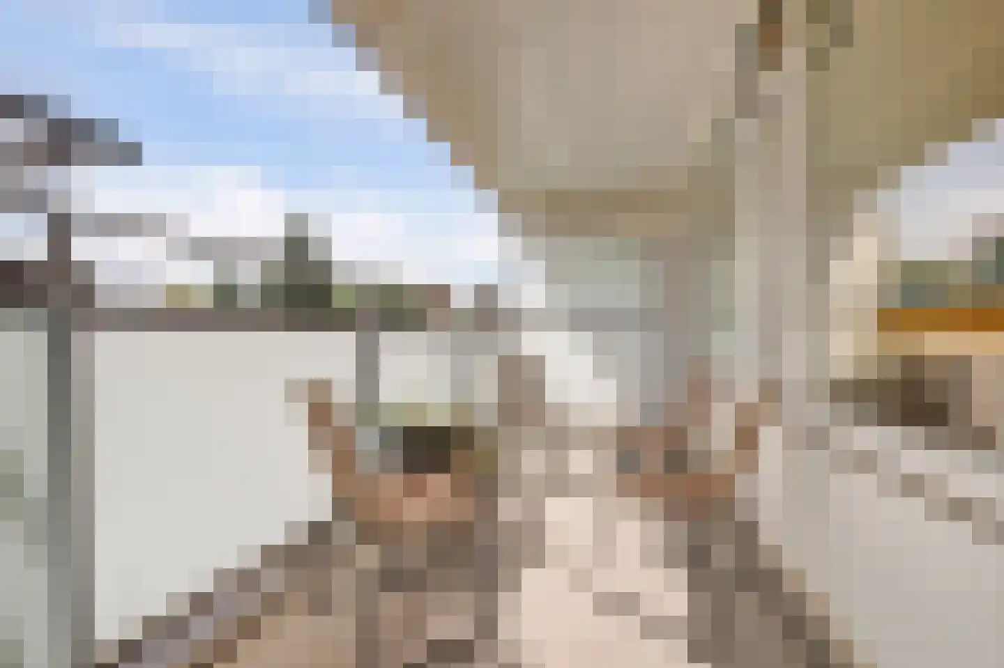 Arendshorst 84 Leiden thumbnail 37