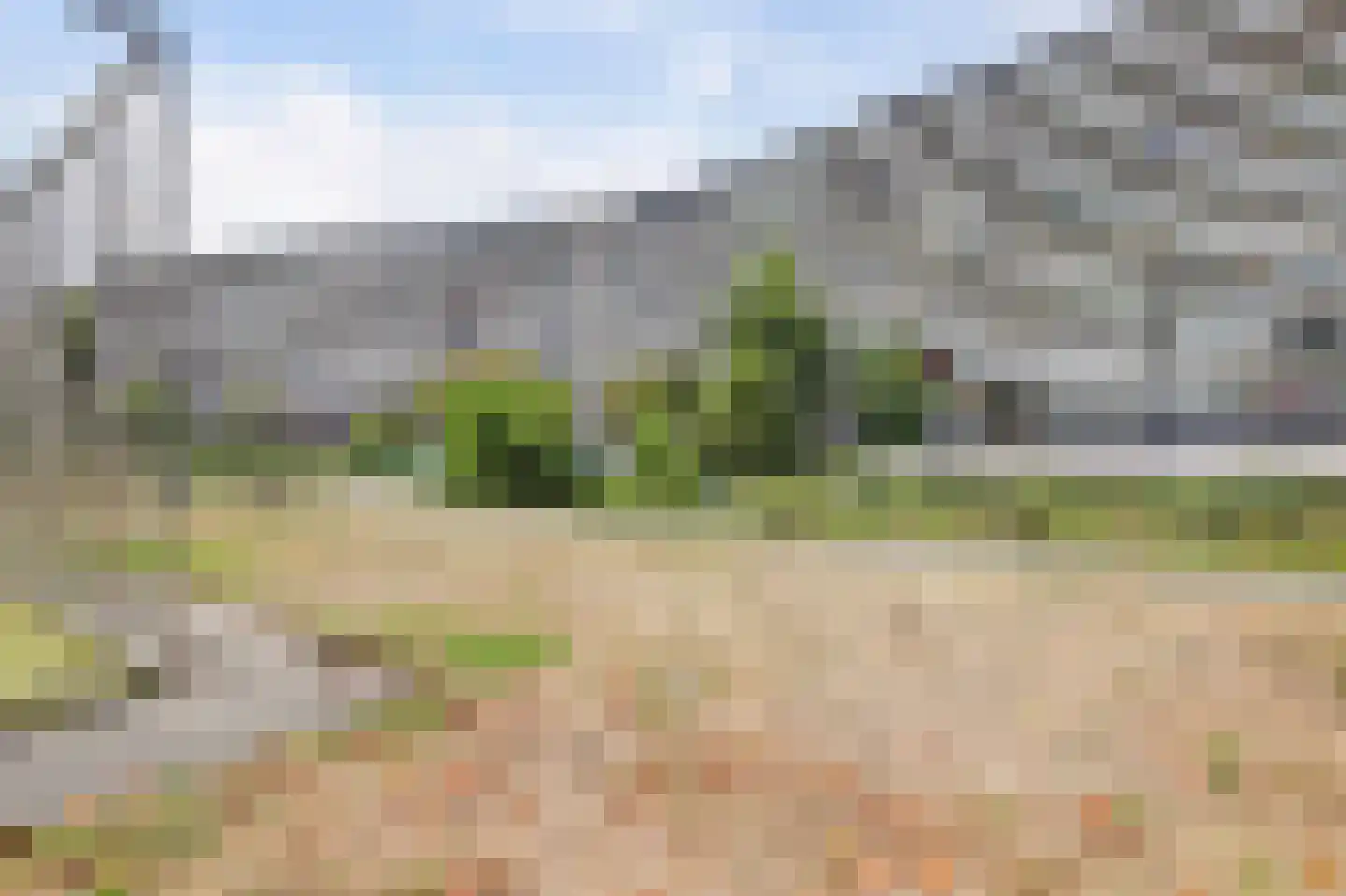Arendshorst 84 Leiden thumbnail 44
