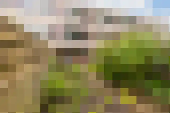 Arendshorst 9 Ede thumbnail 24