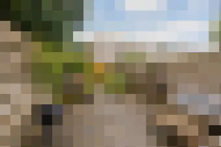 Arendshorst 9 Ede thumbnail 28