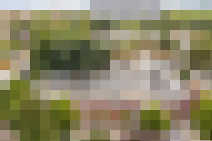 Arendshorst 9 Ede thumbnail 29