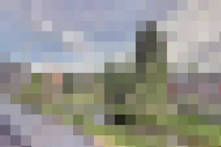 Arendshorst 92 Leiden thumbnail 10