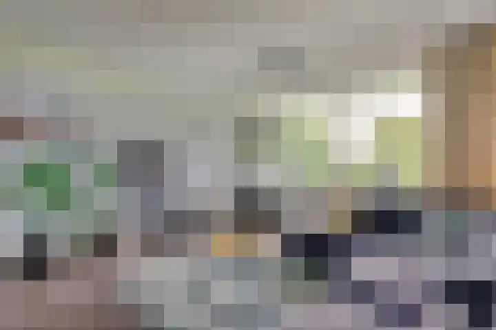 Arendshorst 92 Leiden thumbnail 14