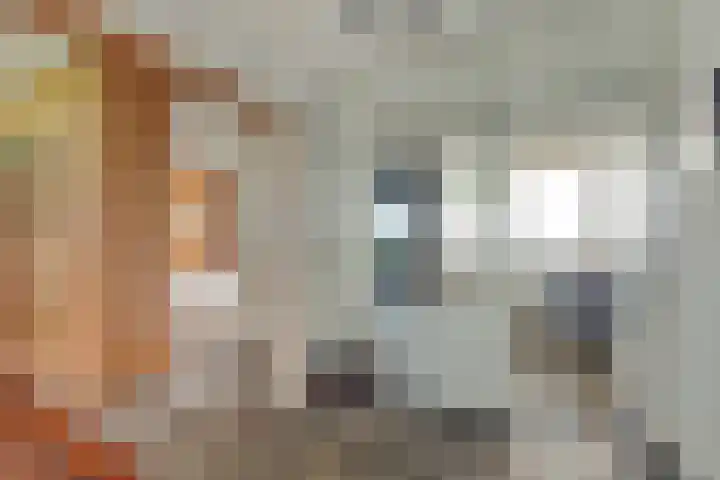 Arendshorst 92 Leiden thumbnail 17