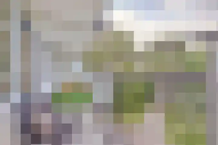Arendshorst 92 Leiden thumbnail 32