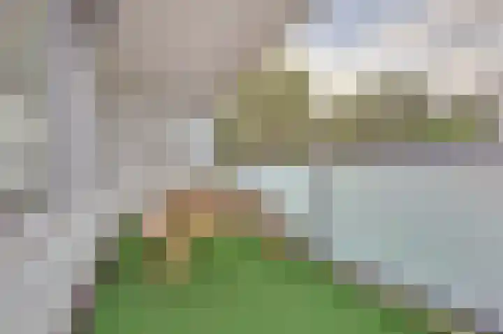 Arendshorst 92 Leiden thumbnail 33
