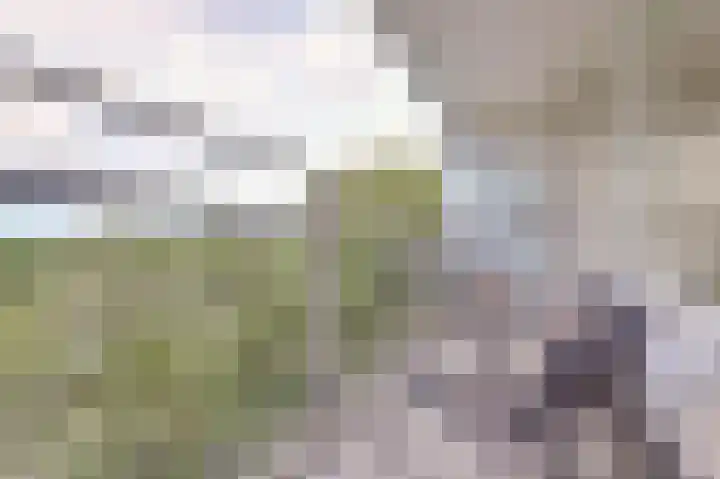 Arendshorst 92 Leiden thumbnail 34