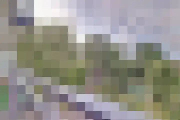 Arendshorst 92 Leiden thumbnail 35