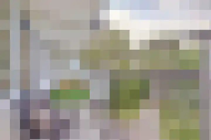 Arendshorst 92 Leiden thumbnail 5
