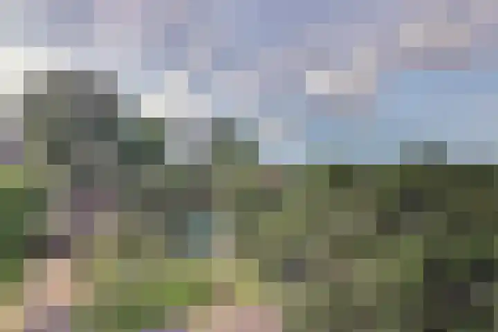 Arendshorst 92 Leiden thumbnail 6