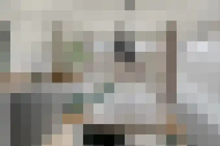 Arendsnest 2 Gilze thumbnail 10