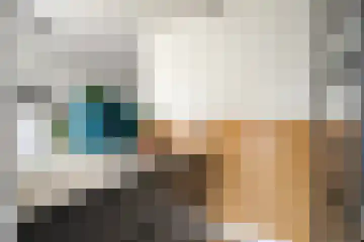 Arendsnest 2 Gilze thumbnail 13