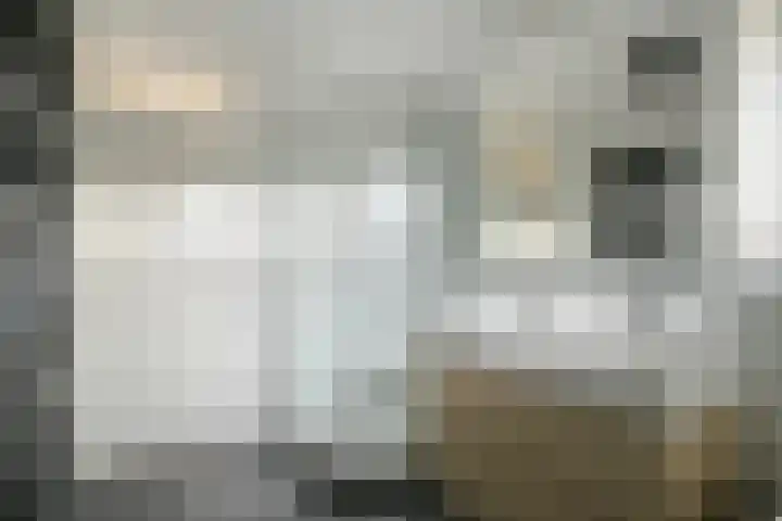 Arendsnest 2 Gilze thumbnail 16