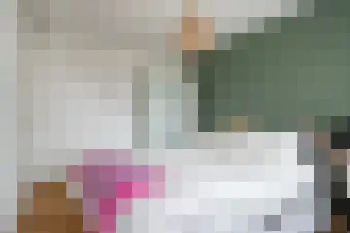 Arendsnest 2 Gilze thumbnail 20