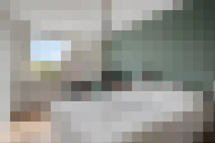 Arendsnest 2 Gilze thumbnail 21