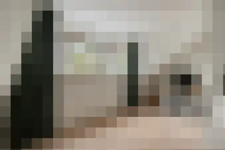 Arendsnest 2 Gilze thumbnail 27