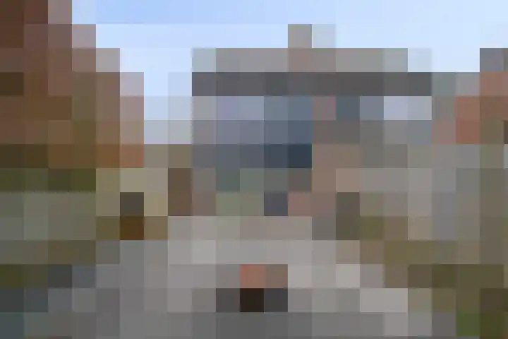Arendsnest 2 Gilze thumbnail 30