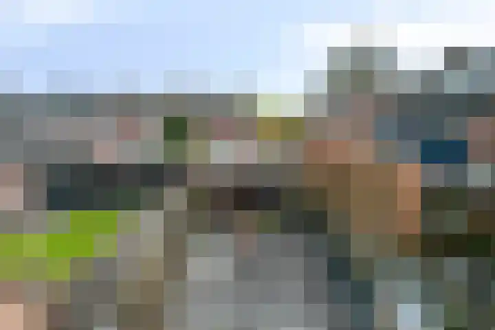 Arendsnest 2 Gilze thumbnail 31
