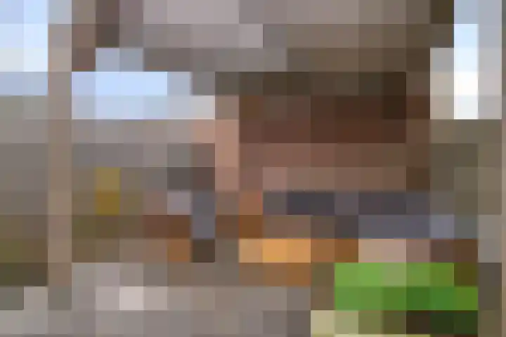 Arendsnest 2 Gilze thumbnail 35