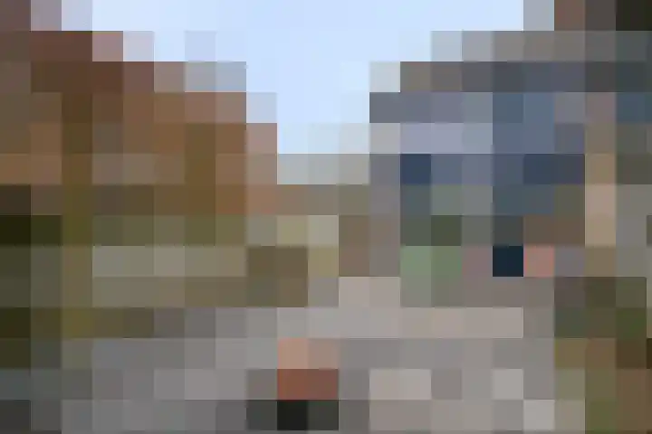 Arendsnest 2 Gilze thumbnail 36