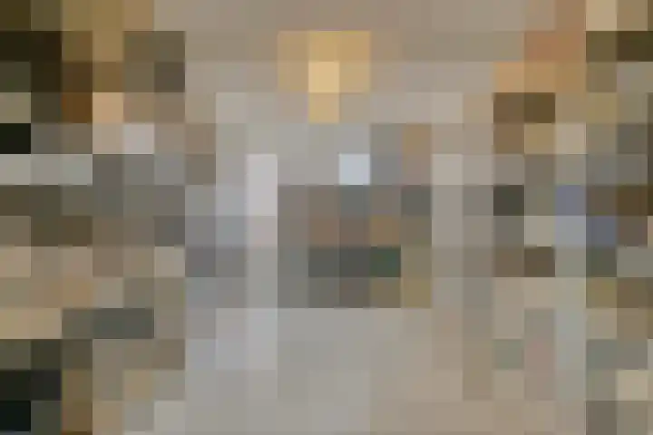 Arendsnest 2 Gilze thumbnail 37