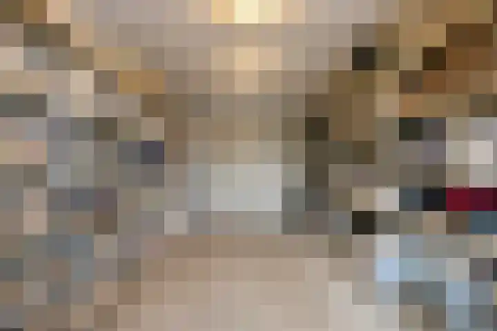 Arendsnest 2 Gilze thumbnail 38
