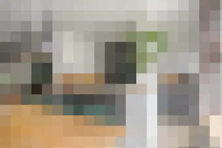 Arendsnest 2 Gilze thumbnail 4