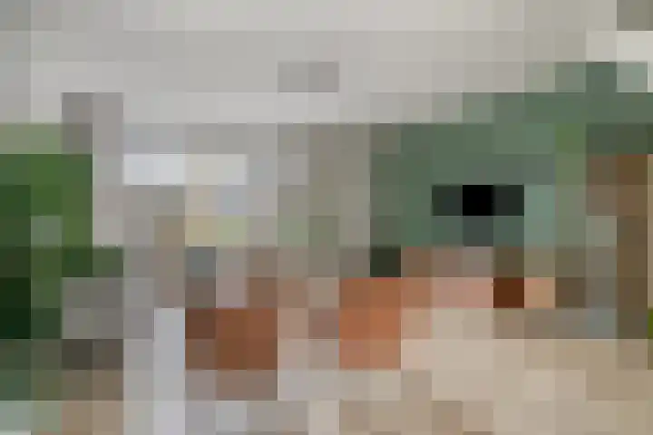 Arendsnest 2 Gilze thumbnail 7
