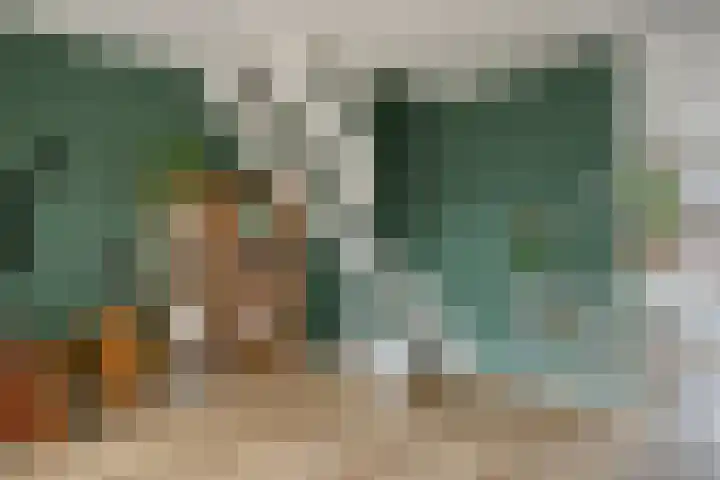 Arendsnest 2 Gilze thumbnail 8