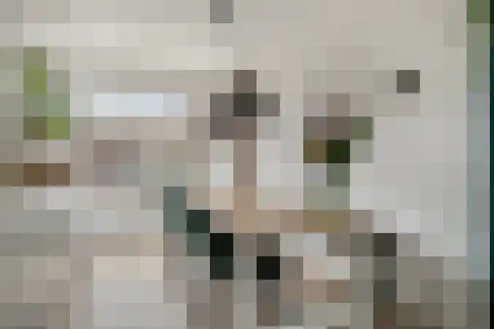 Arendsnest 2 Gilze thumbnail 9
