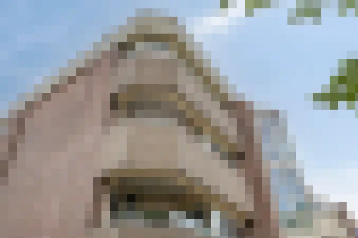 Arendsplein 52 Oosterhout thumbnail 36