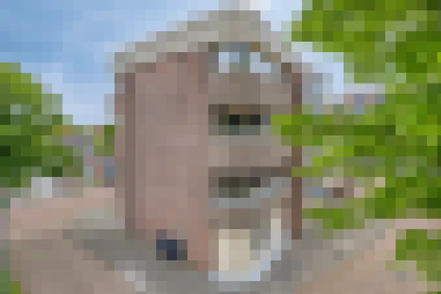 Arendsplein 52 Oosterhout thumbnail 37