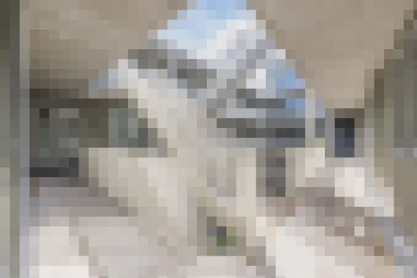 Arendsplein 63 D Oosterhout thumbnail 10