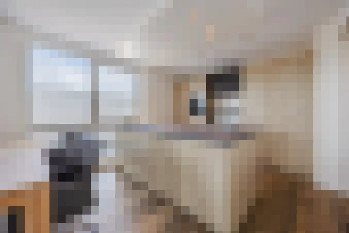 Arendsplein 63 D Oosterhout thumbnail 21