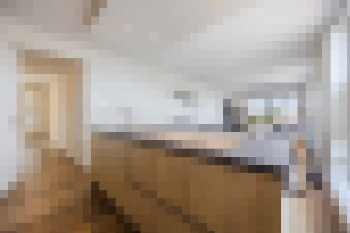 Arendsplein 63 D Oosterhout thumbnail 26