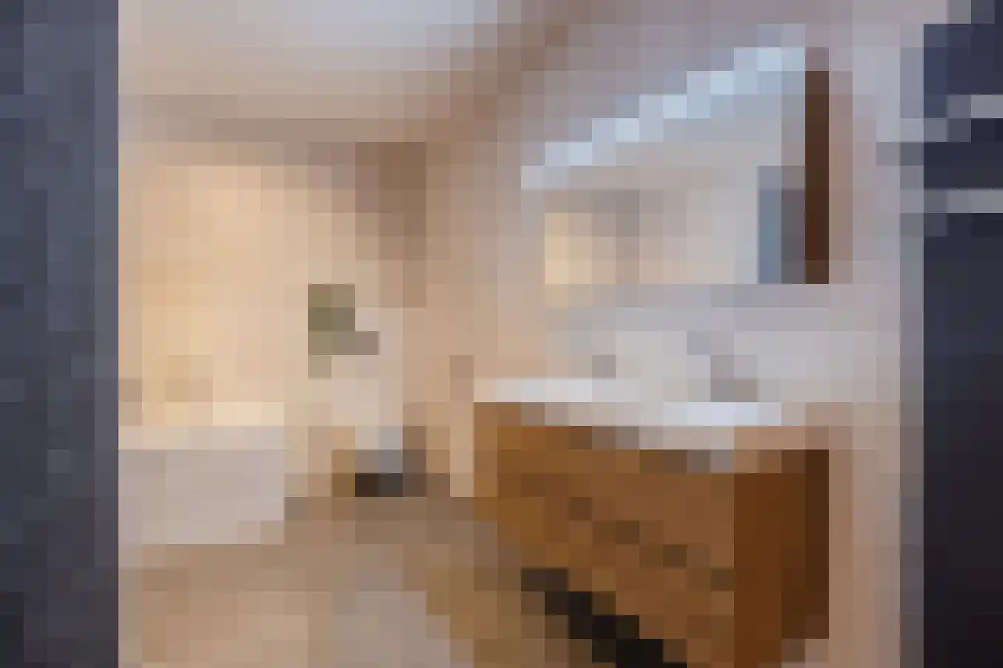 Arendsplein 63 D Oosterhout thumbnail 35