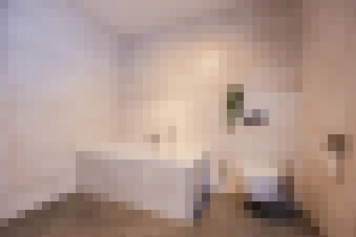 Arendsplein 63 D Oosterhout thumbnail 36