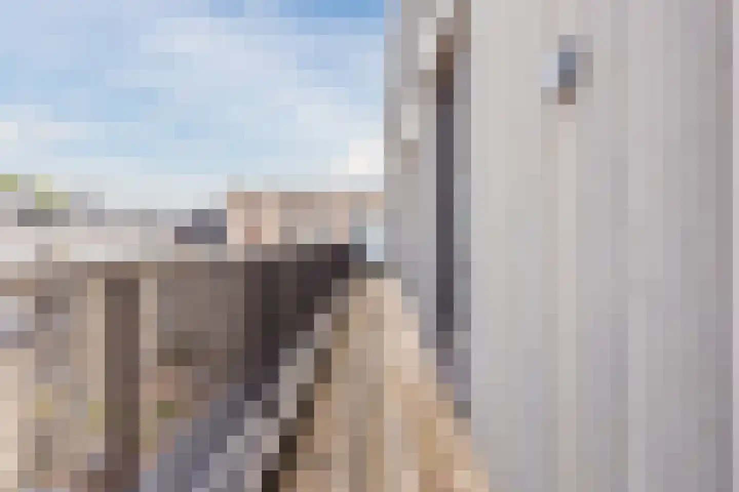 Arendsplein 63 D Oosterhout thumbnail 44