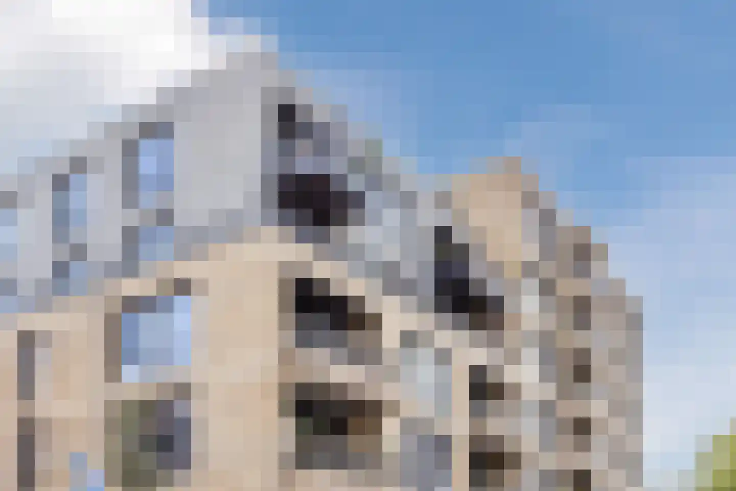Arendsplein 63 D Oosterhout thumbnail 45