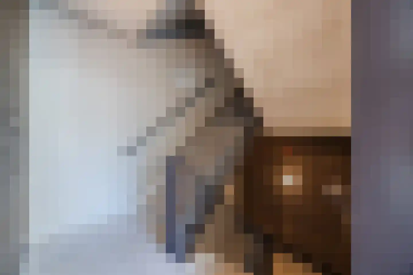 Arendsplein 63 D Oosterhout thumbnail 7