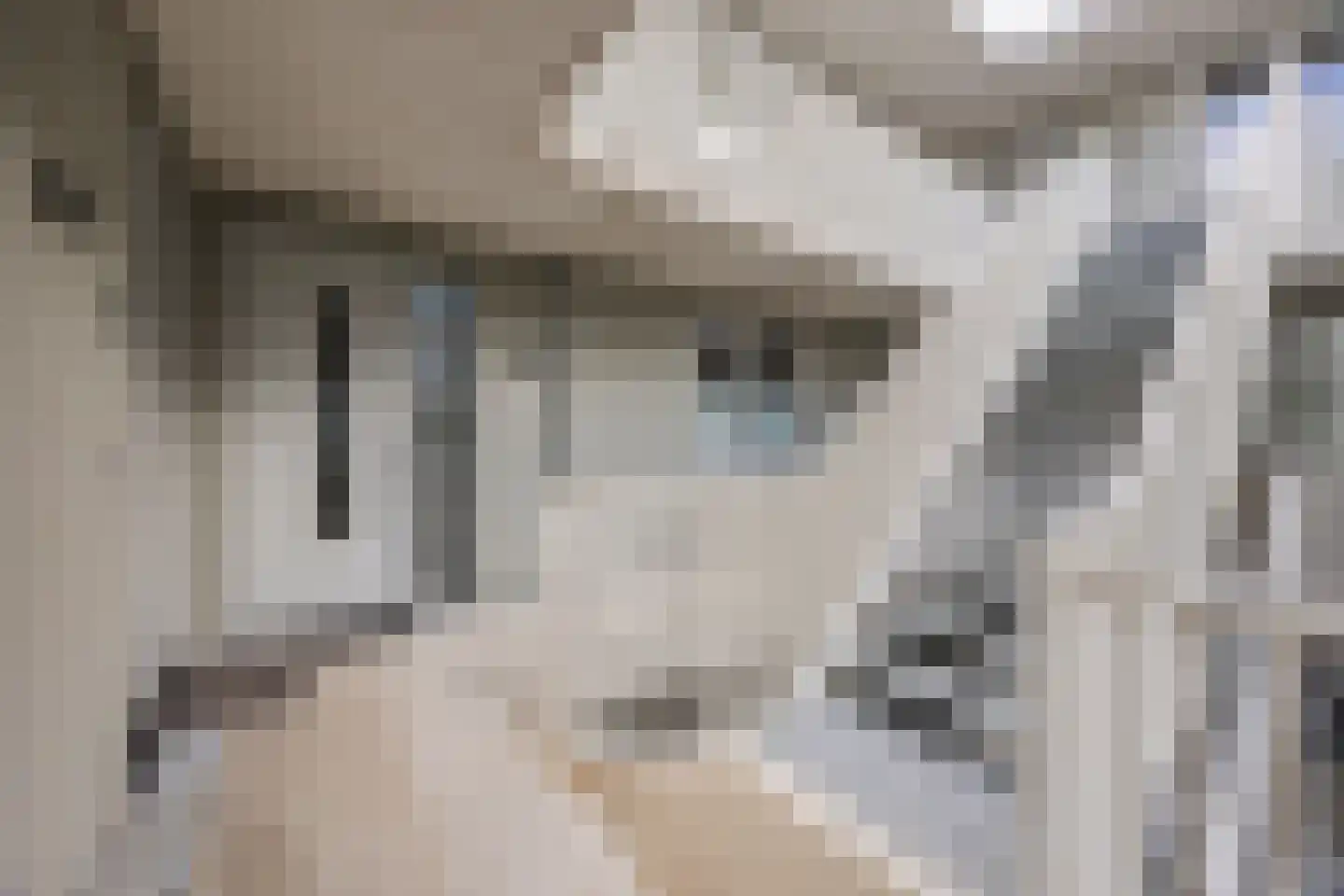 Arendsplein 63 D Oosterhout thumbnail 9