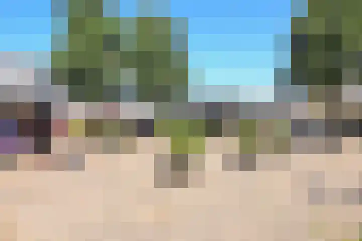 Arendstraat 11 Badhoevedorp thumbnail 38
