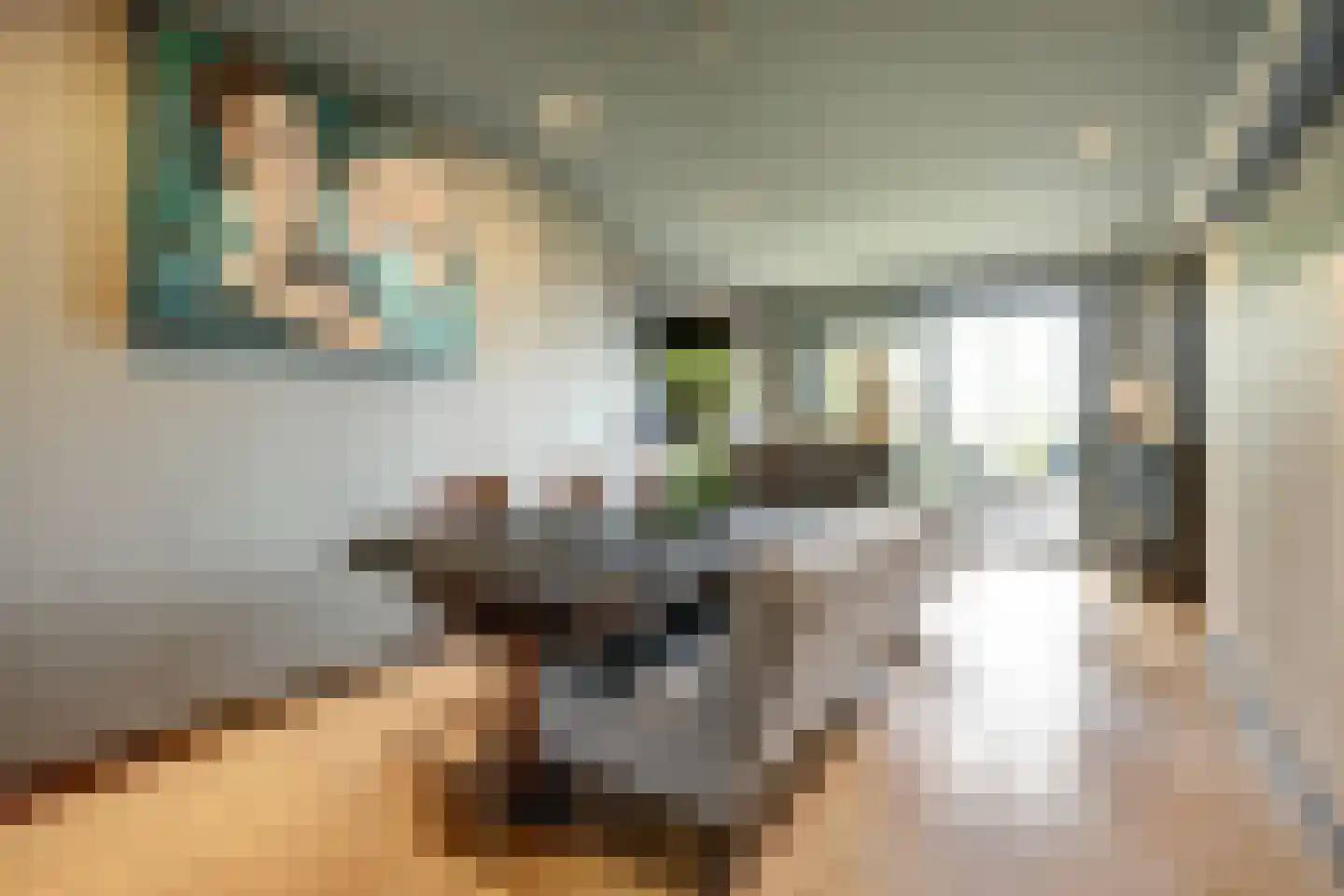Arendstraat 11 's-Heer Arendskerke thumbnail 10