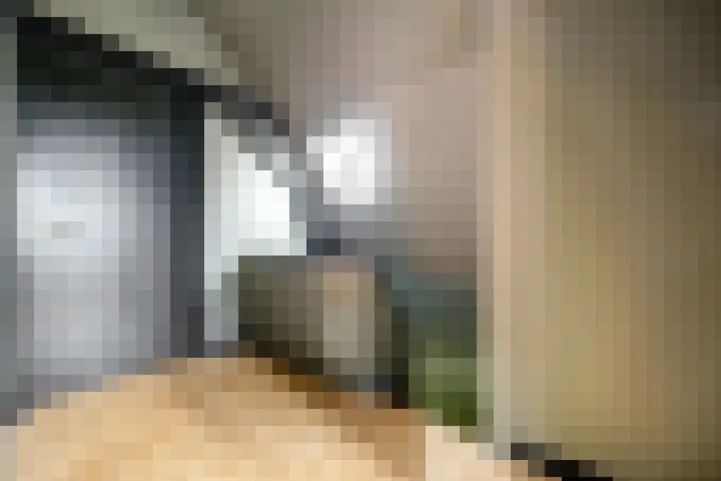 Arendstraat 11 's-Heer Arendskerke thumbnail 23