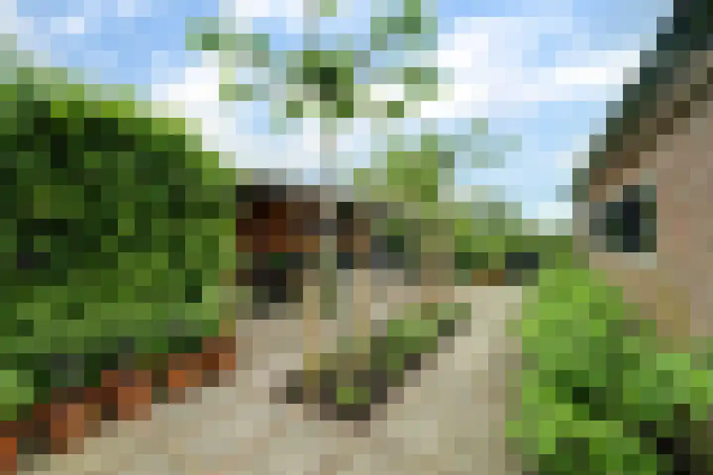 Arendstraat 11 's-Heer Arendskerke thumbnail 29