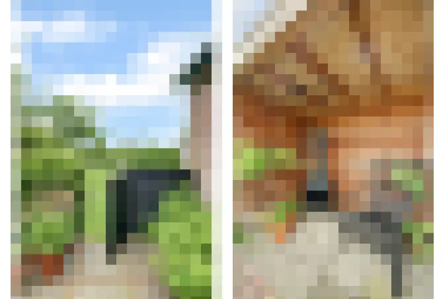 Arendstraat 11 's-Heer Arendskerke thumbnail 33