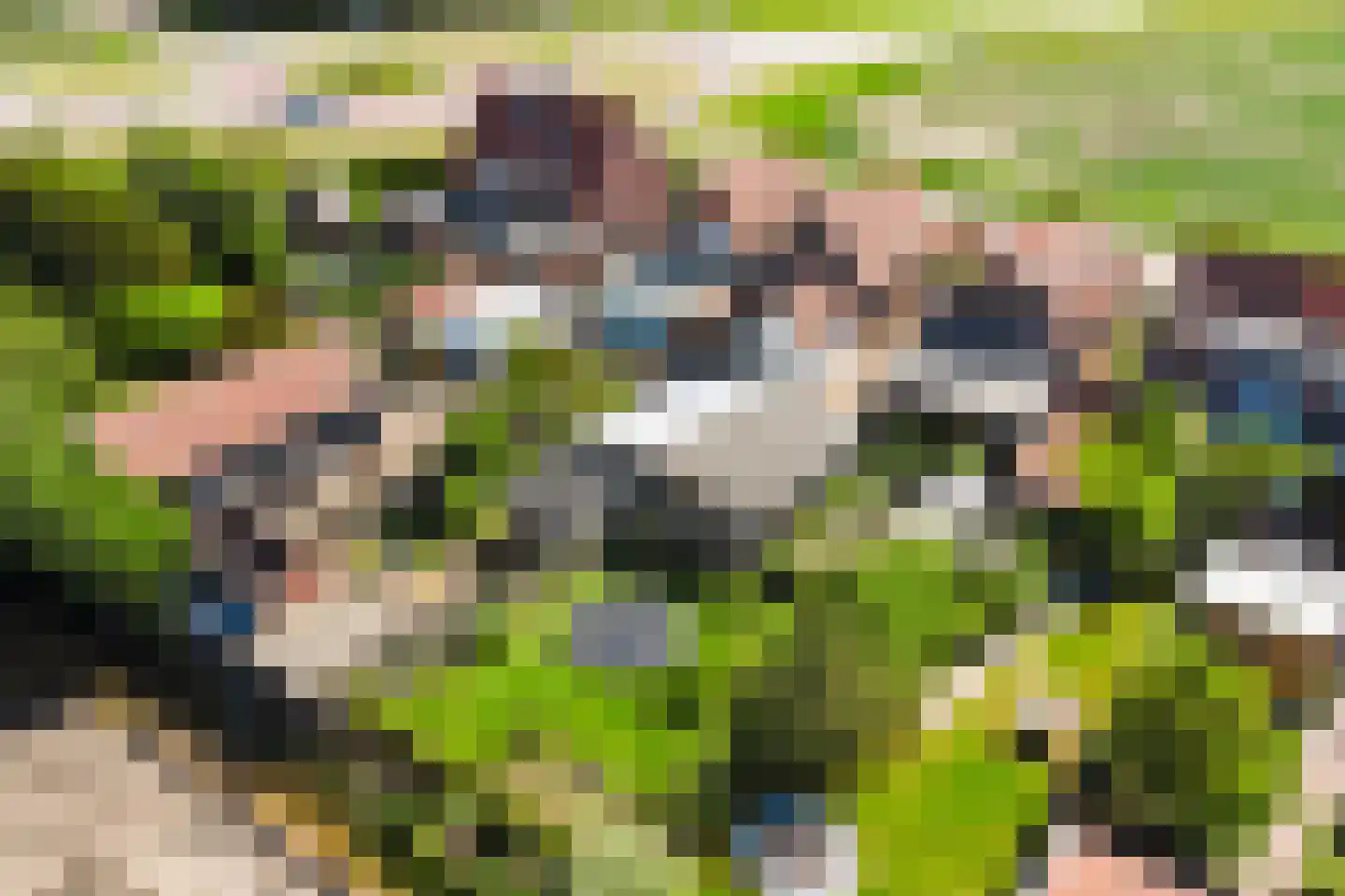 Arendstraat 11 's-Heer Arendskerke thumbnail 36