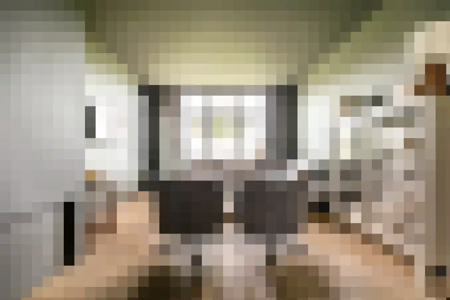 Arendstraat 11 's-Heer Arendskerke thumbnail 4
