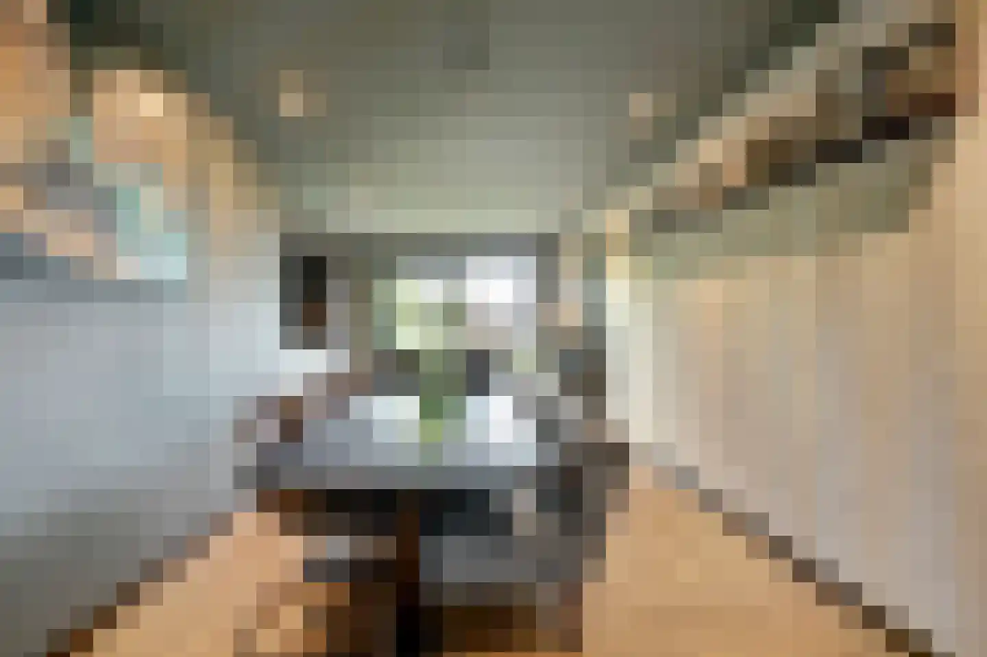 Arendstraat 11 's-Heer Arendskerke thumbnail 9